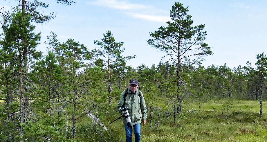 Foto: Björn Ståhlberg
